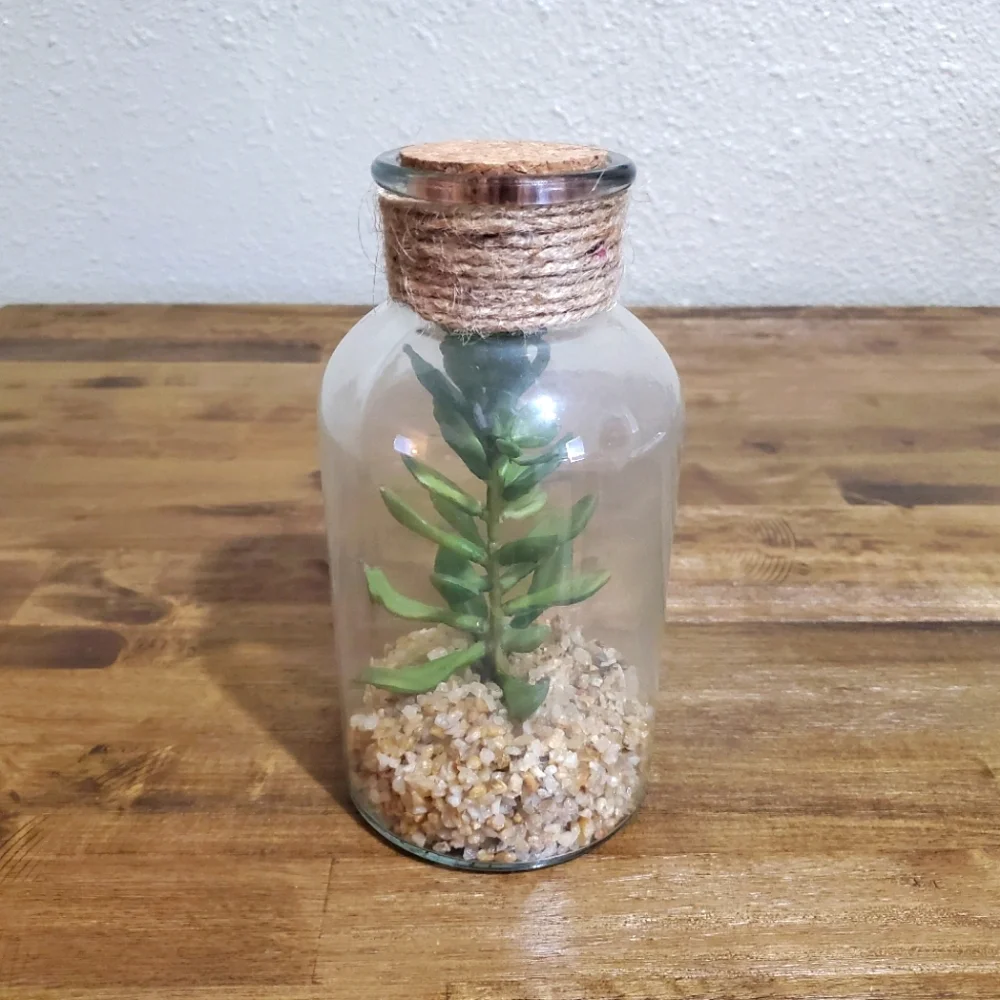 Faux Succulent Plant in Glass Cork Bottle - Boho Farmhouse Home Accent Decor